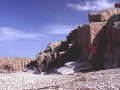 12005