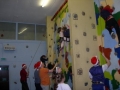 1135892225climbing