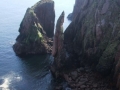1271085591stillstanding