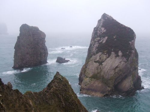 1227702733glenloughbaytwins